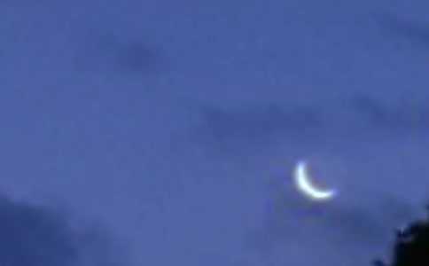 �茑���������ġ����T��