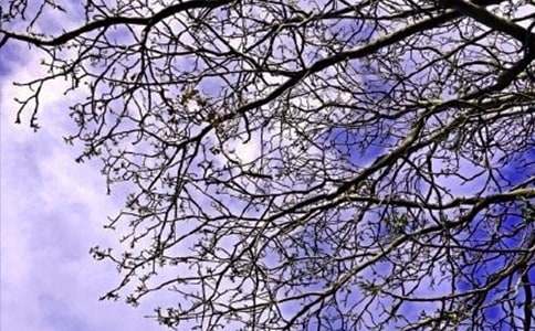 經(jīng)典美好的早安祝福語短信集錦63條