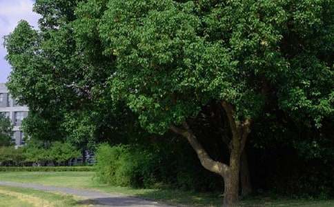 ���������õ��簲ף���Z����21�l