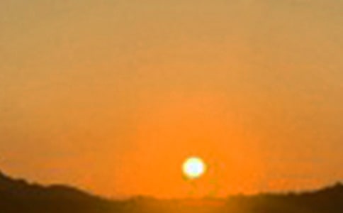 2021�꺆(ji��n)�����m�����ϰl(f��)���簲���Z�����\��31��