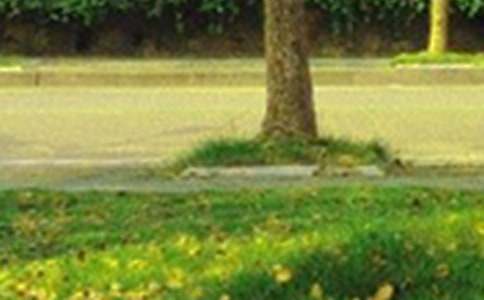 ��(ji��n)�������õ��簲ף���Z(y��)����16��