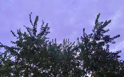 ���x��ܰ���簲���Z���ż��\45��