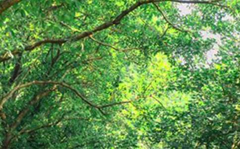 2020年簡單的美好的早安祝福語短信20句