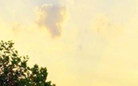 簡單的美好的早安祝福語短信大合集51句