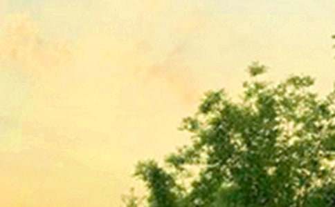 ���؂䡿�m�����ϰl(f��)���簲���Z���źϼ�37��