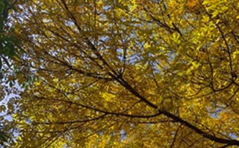 簡(jiǎn)潔的美好的早安祝福語(yǔ)短信33條