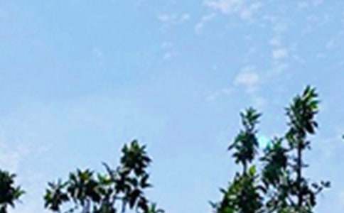 2024�����õ��簲ף���Z����ժ�49��