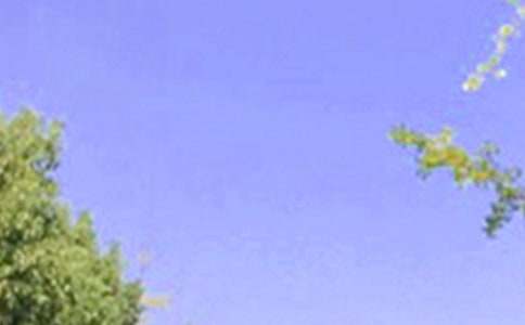 2021年簡單的溫馨的早安心語短信24句