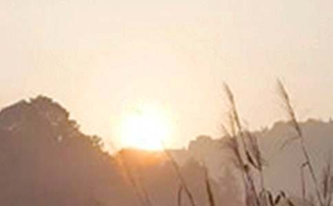 ���P(gu��n)���õ��簲ף���Z���źϼ�52��