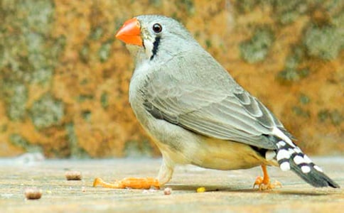 �x�������B���ио��x15ƪ