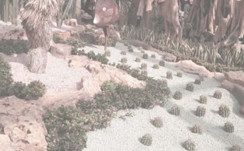 ��ֲ��@����550��