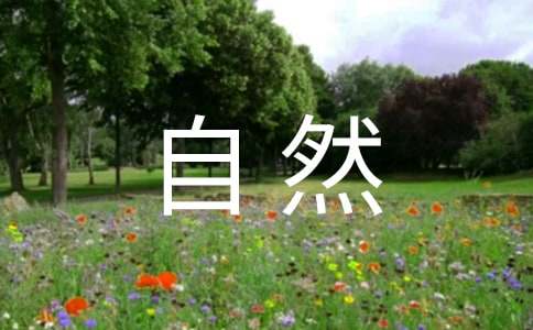 ��Ȼ�����^��(g��)���^���