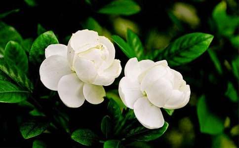 �����^����ӛ