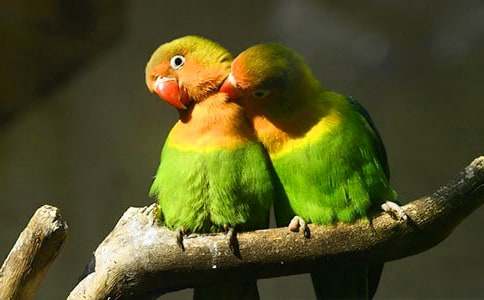 �����䣩�Ҽҵ��W�^����