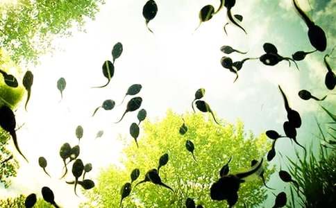 С����ҋ����Ĺ���15ƪ����(y��u)�x��