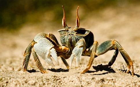 �з�^����ӛ(�R��12ƪ)