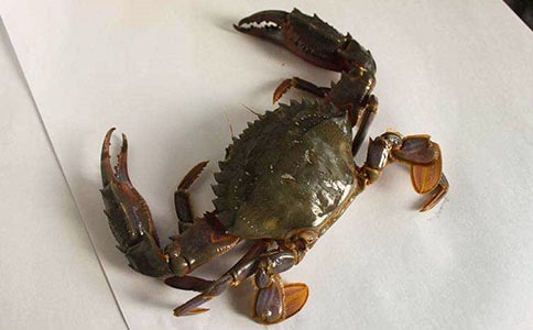 �з�^����ӛ15ƪ