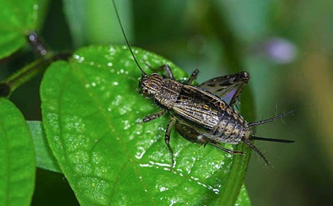 �P(gu��n)���������300��9ƪ