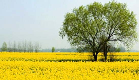 ���κ���w��(hu��)