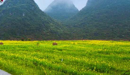 二年級看圖寫話春游