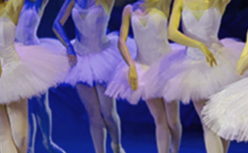 小英雄和芭蕾公主讀后感150字