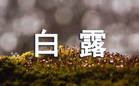 白露節(jié)氣創(chuàng)意寄語3篇