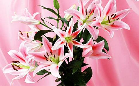 �ٺϻ�С�W(xu��)������500�֣����x46ƪ��