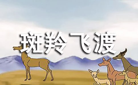 《斑羚飛渡》優(yōu)秀教案(精選12篇)