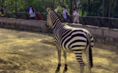 �а���R���g(sh��)���(d��ng)�̰�