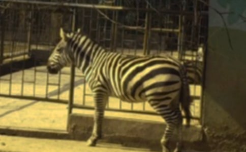 ���R��(xi��n)�ϵ��Ї�(gu��)�x���