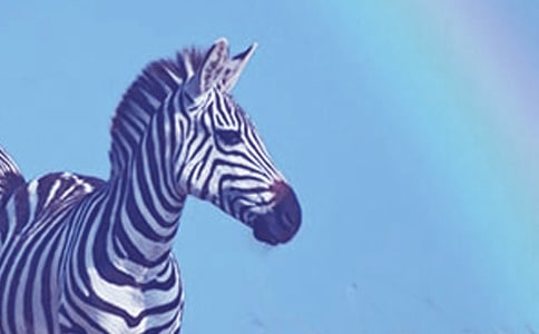 ��ȫ�̰����R·�ϵİ��R��