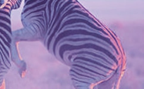 ��ʲôС���ò��޽o���R��?