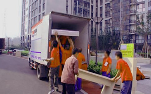 螞蟻搬家的秘密600字作文