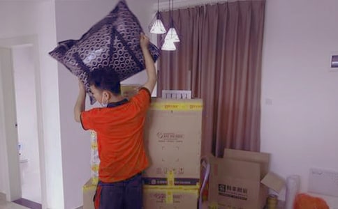 描寫螞蟻搬家的日記