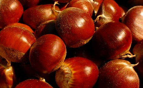 和爸爸一起上山摘板栗作文