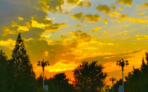 關(guān)于金子般的傍晚作文