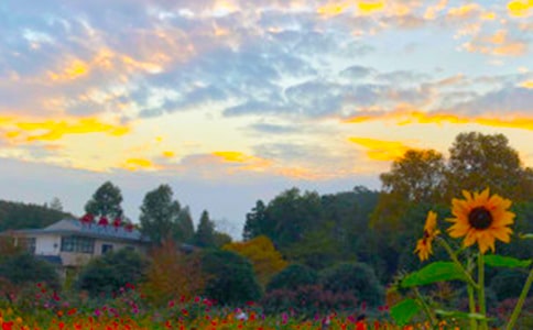 秋天的傍晚作文(精選11篇)