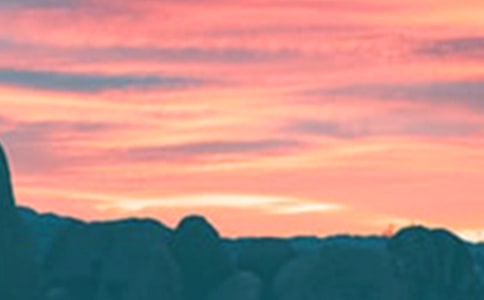 傍晚優(yōu)秀作文