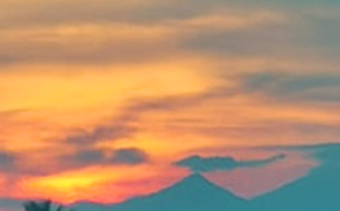 傍晚的濱江生態(tài)公園作文400字