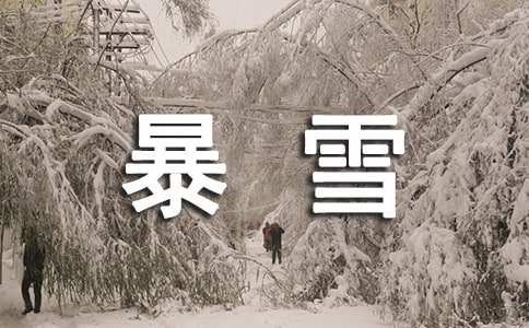 描寫暴雪的優(yōu)美句子170句