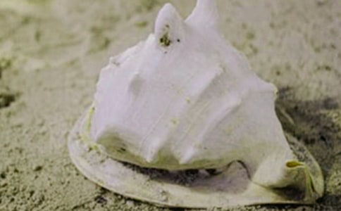 ������ؐ������