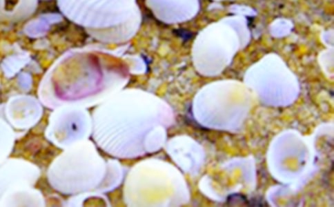 �P(gu��n)��ؐ������