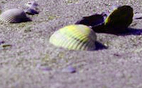 ؐ������300��