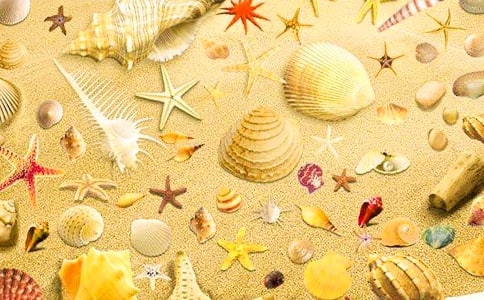 ������g��ʵ�ؐ���̰�