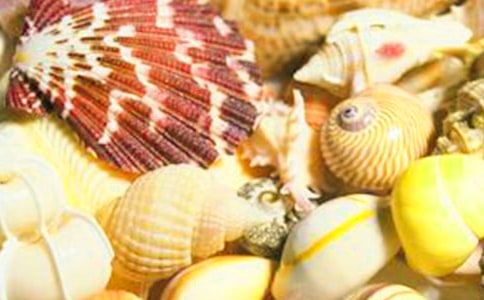 �R�\��ؐ������ɢ��