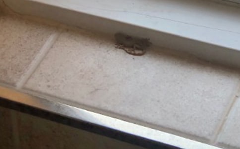 �{(di��o)Ƥ��С�ڻ�����