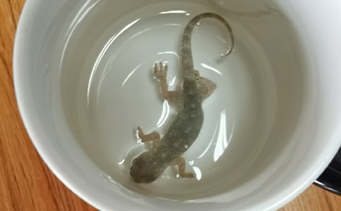 �ڻ�����500��