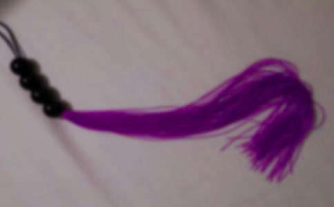 關(guān)于鞭子的作文(通用13篇)