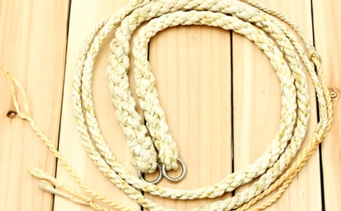 《放下你的鞭子》(教案)