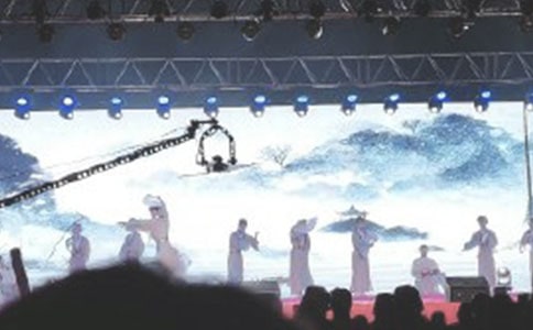 蘿卜回來了教案表演游戲